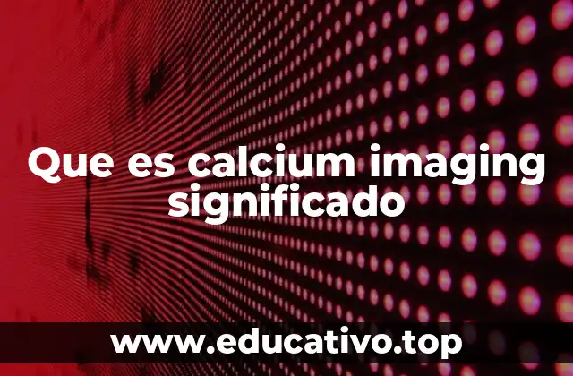 La relevancia del calcium imaging en la comprensión del cerebro