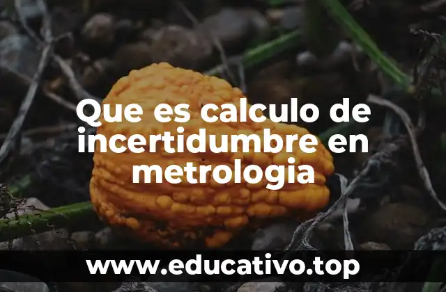 Que es calculo de incertidumbre en metrologia