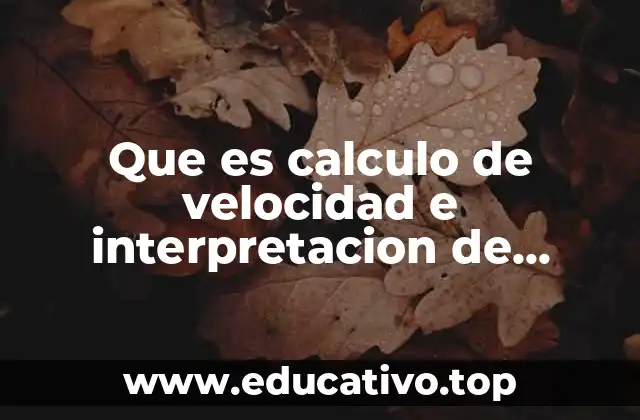 Que es calculo de velocidad e interpretacion de graficas
