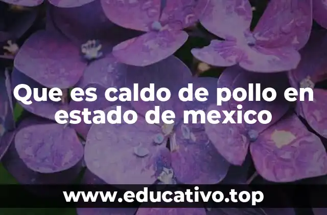 Que es caldo de pollo en estado de mexico