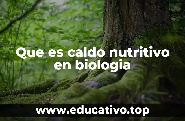 Que es caldo nutritivo en biologia