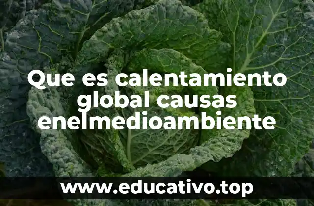Que es calentamiento global causas enelmedioambiente