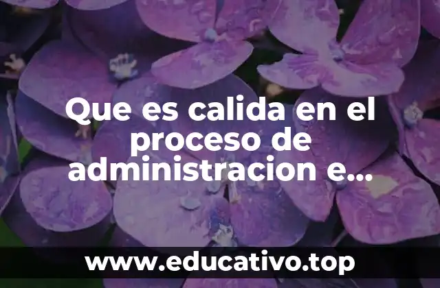 Que es calida en el proceso de administracion e proyectos