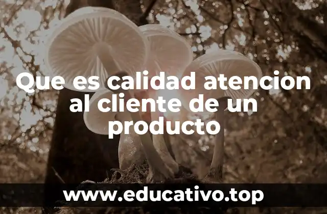 Que es calidad atencion al cliente de un producto