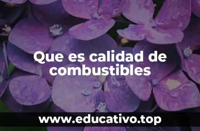 Que es calidad de combustibles