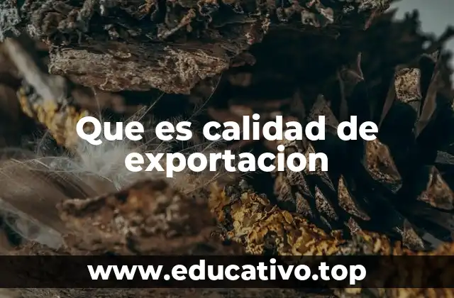 Que es calidad de exportacion