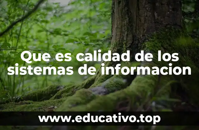 Que es calidad de los sistemas de informacion