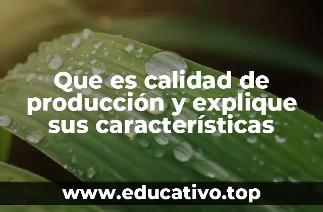 Que es calidad de producción y explique sus características