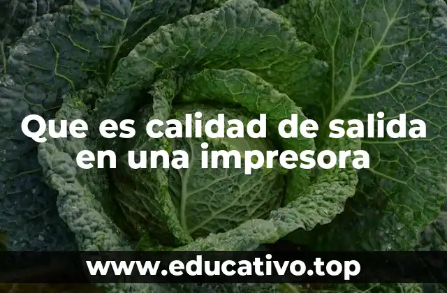 Que es calidad de salida en una impresora