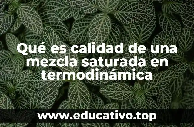 La importancia de la calidad en mezclas saturadas en ingeniería térmica