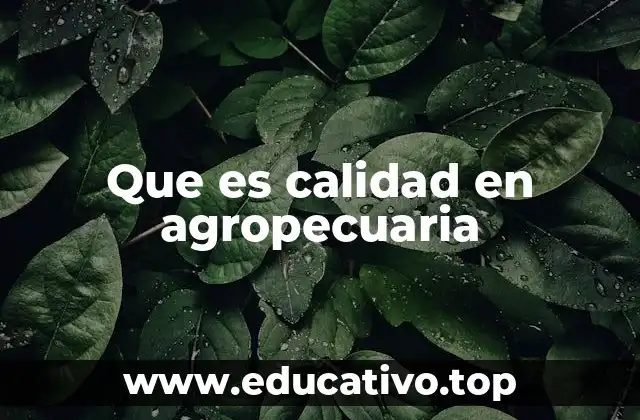Que es calidad en agropecuaria