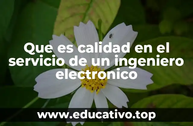Que es calidad en el servicio de un ingeniero electronico