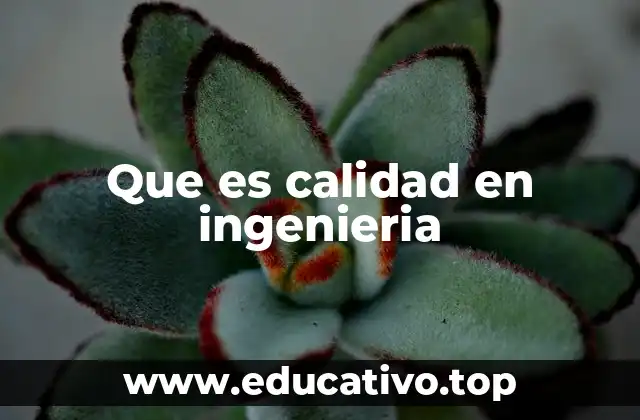 Que es calidad en ingenieria