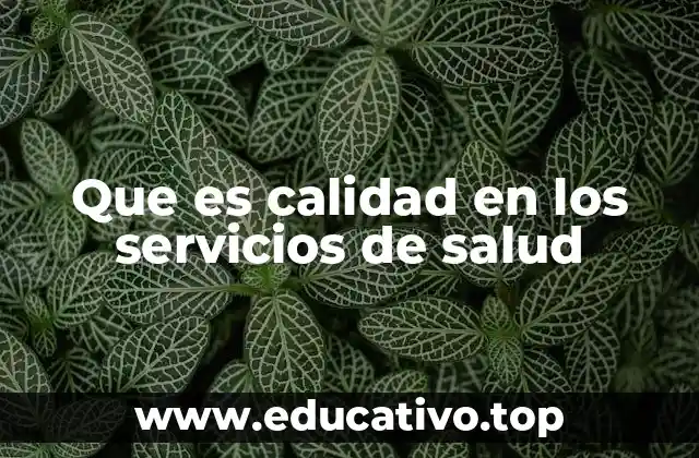 Que es calidad en los servicios de salud