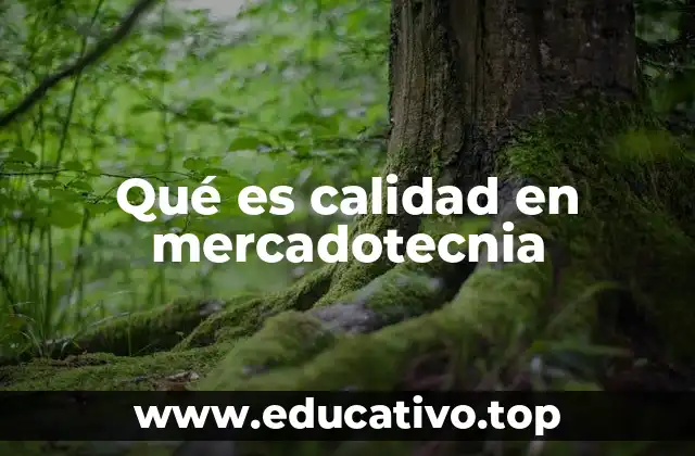 Qué es calidad en mercadotecnia