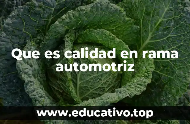 Que es calidad en rama automotriz