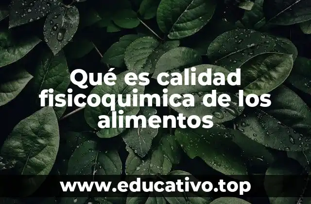 Qué es calidad fisicoquimica de los alimentos