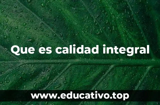 Que es calidad integral