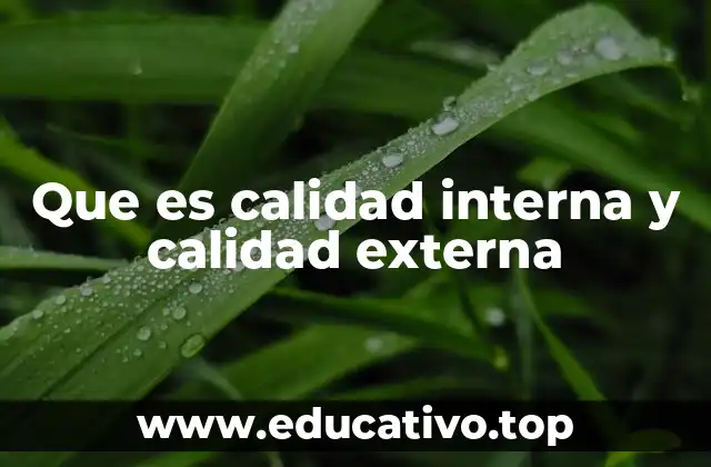 Que es calidad interna y calidad externa