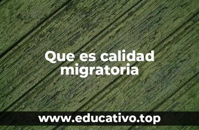 Que es calidad migratoria