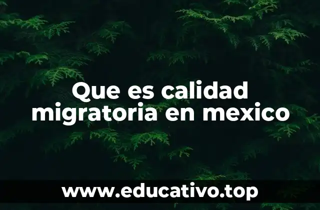 Que es calidad migratoria en mexico