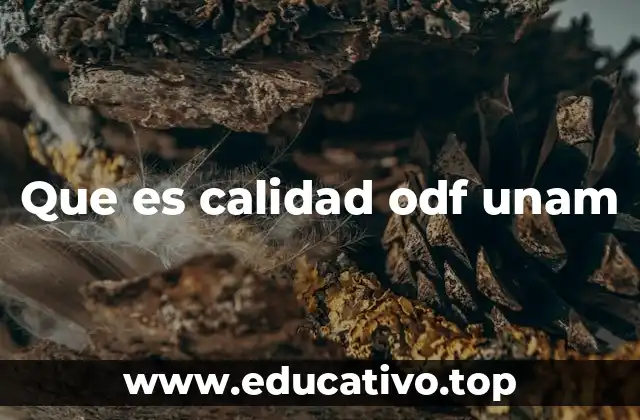 Que es calidad odf unam