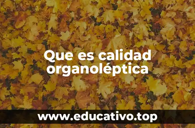 Que es calidad organoléptica