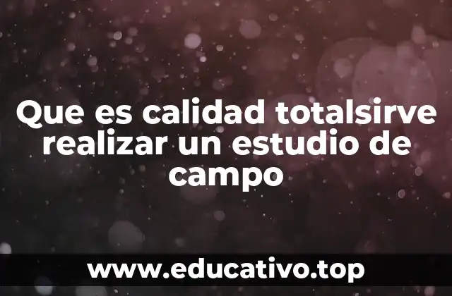 Que es calidad totalsirve realizar un estudio de campo