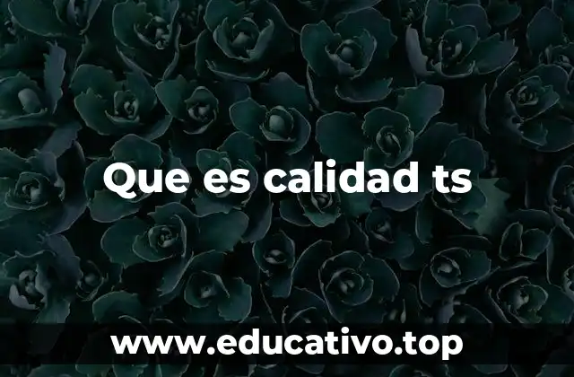 Que es calidad ts