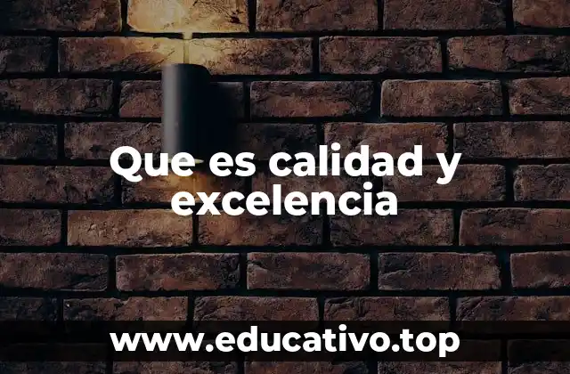Que es calidad y excelencia