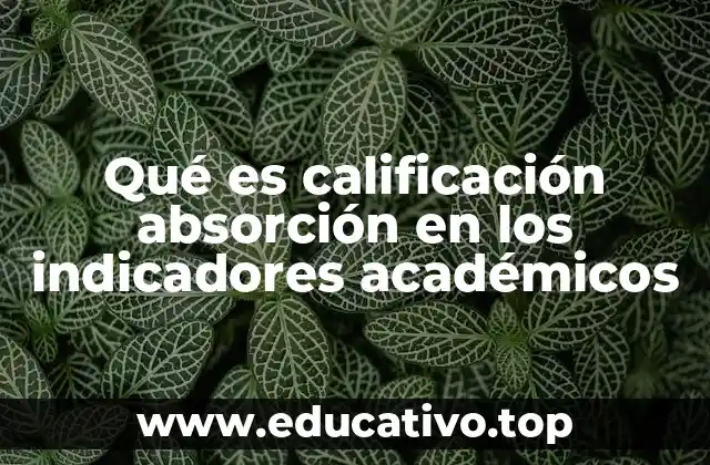 Qué es calificación absorción en los indicadores académicos