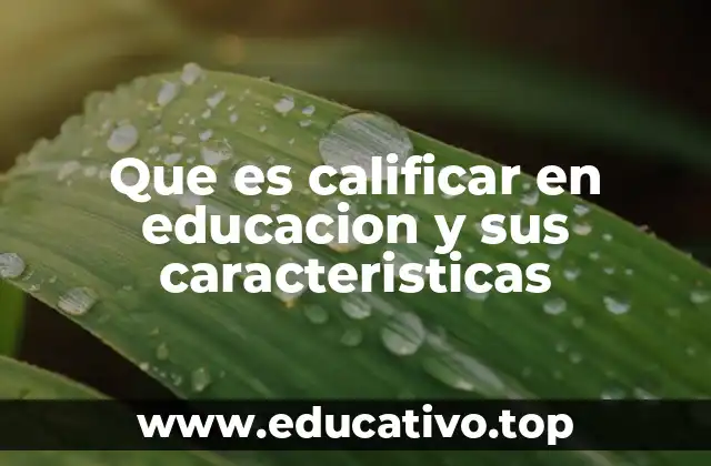 Que es calificar en educacion y sus caracteristicas