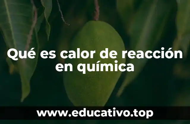 Qué es calor de reacción en química