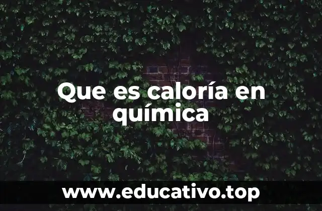 Que es caloría en química