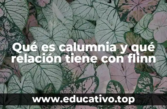 Qué es calumnia y qué relación tiene con flinn