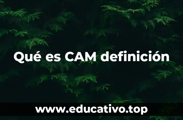 Qué es CAM definición