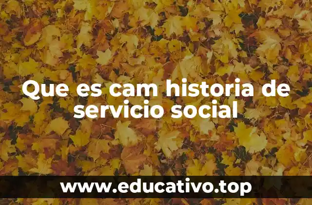 Que es cam historia de servicio social