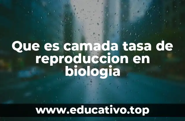 El rol de la camada en la estrategia de supervivencia de las especies