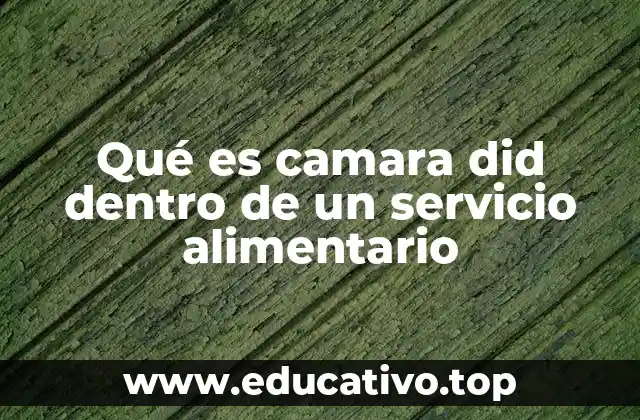 Qué es camara did dentro de un servicio alimentario