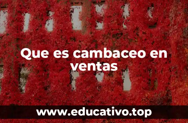 Que es cambaceo en ventas