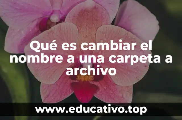 Qué es cambiar el nombre a una carpeta a archivo