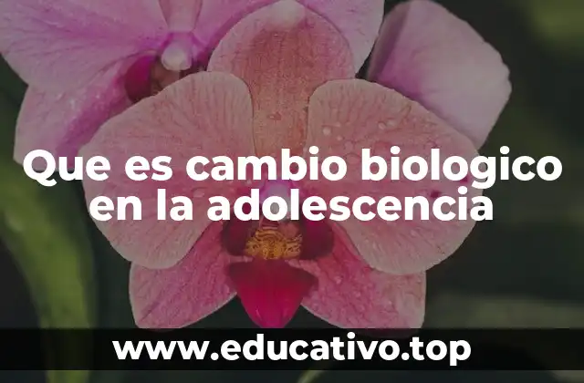 Que es cambio biologico en la adolescencia