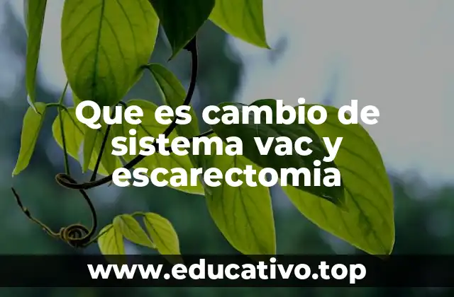 Que es cambio de sistema vac y escarectomia