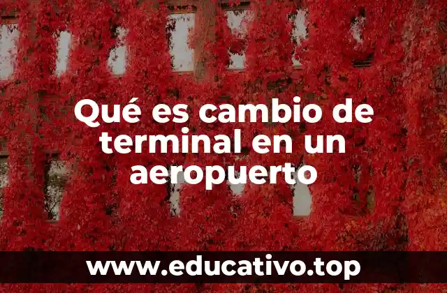 Qué es cambio de terminal en un aeropuerto