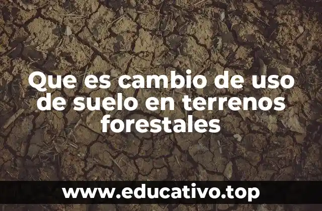 Que es cambio de uso de suelo en terrenos forestales