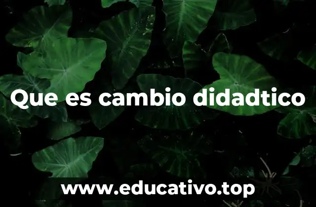 Que es cambio didadtico