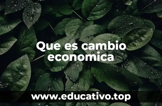 Que es cambio economica