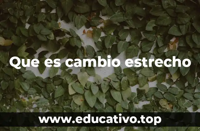 Que es cambio estrecho