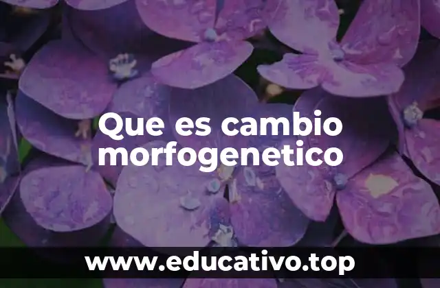 La interacción entre mente y materia