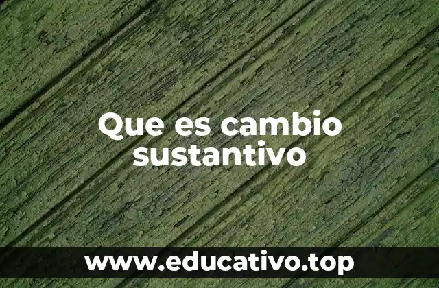 Que es cambio sustantivo